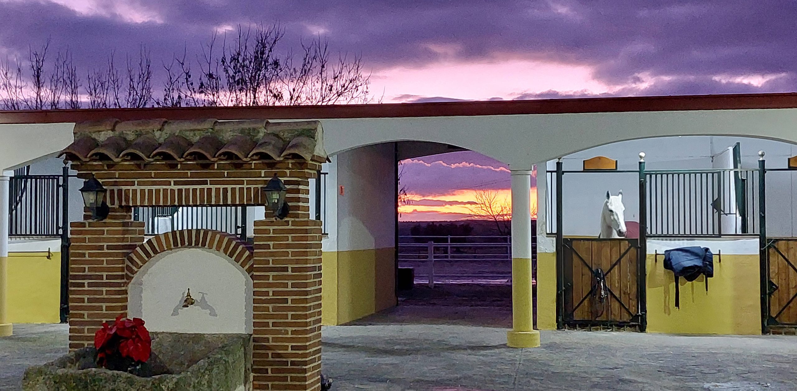 boxes-patio-de-caballos